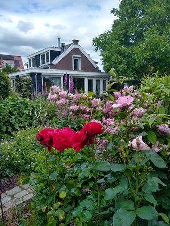 Medium property photo - Koninginneweg 2, 3284 KJ Zuid-Beijerland